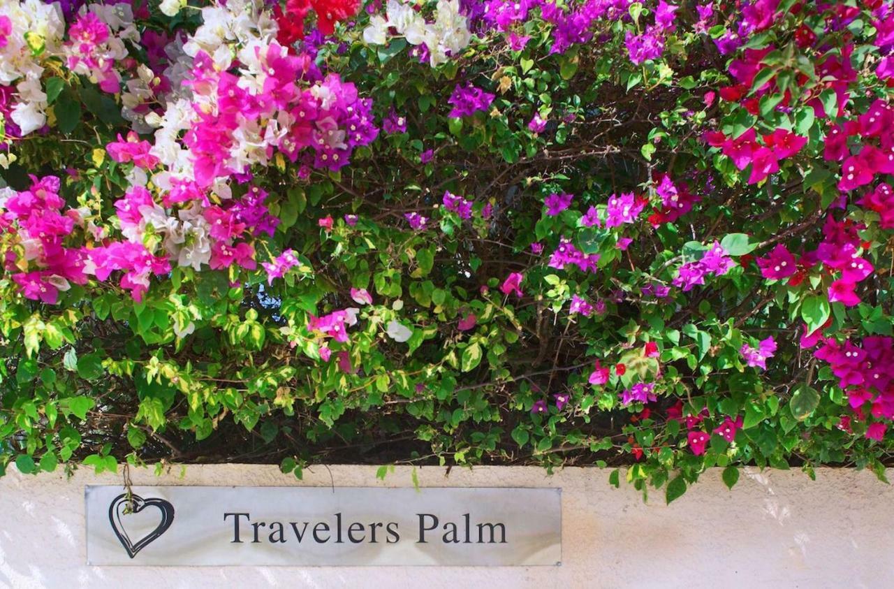 Travelers Palm Inn キーウェスト エクステリア 写真